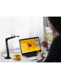 Visualizador USB para Clases Online AVerVision M5