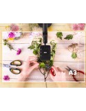 Visualizador USB para Clases Online AVerVision M5