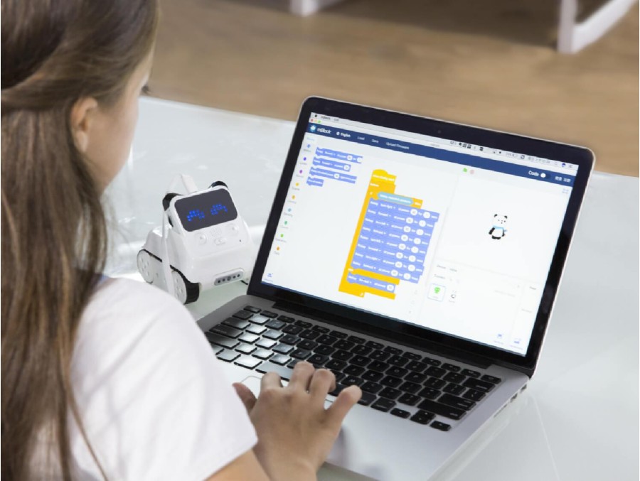 Certificación Codey Rocky