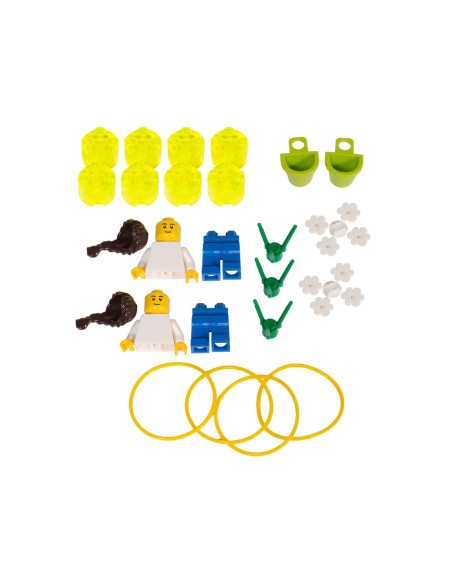 Recambios LEGO MINDSTORMS Education Pack 4 2000703 Piezas