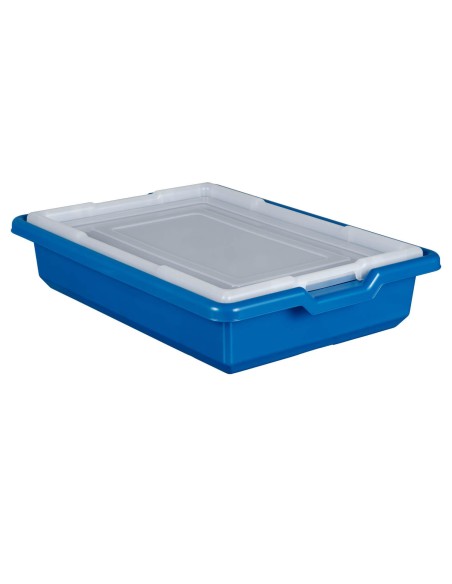 Caja Almacenaje Pequeña LEGO