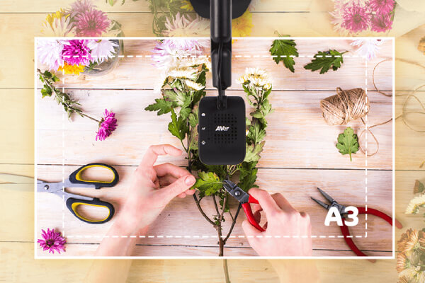 Visualitzador USB AVerVision M5 Classes Online