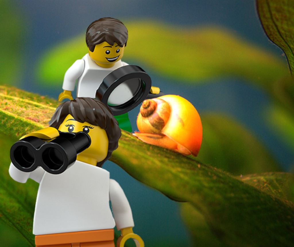 glowing-snail-connect-image-lego-education